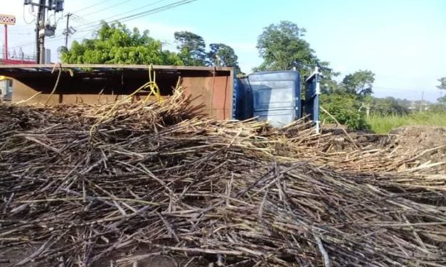 SE QUEDO SIN FRENOS Y VUELCA CAMION CAÑERO