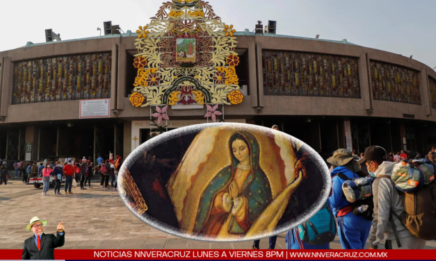 LA IGLESIA PREVEE RECORD HISTORICO DE PEREGRINOS ESTE 12 DE DICIEMBRE