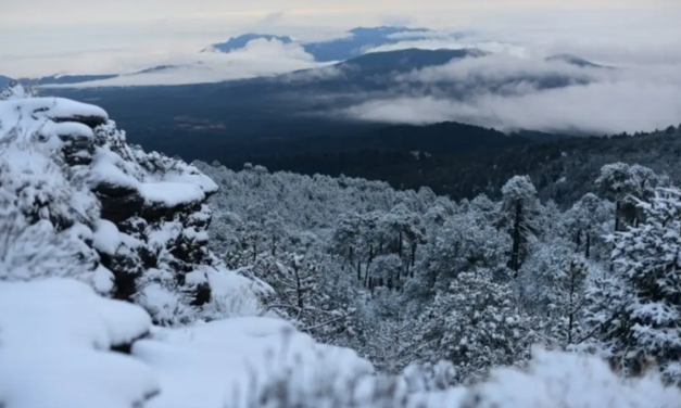 Así se ve la nevada en el Cofre de Perote; piden extremar precauciones