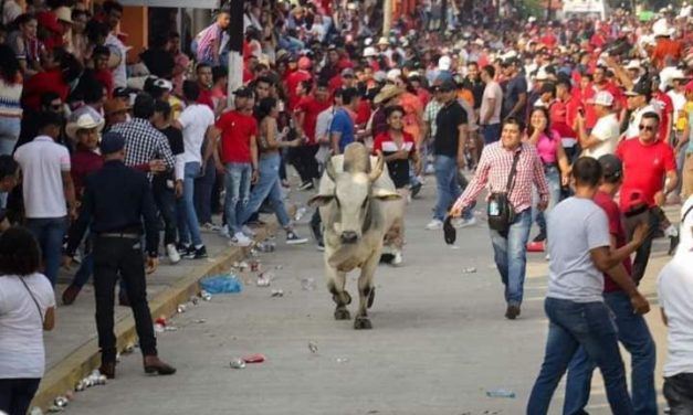 DOS LESIONADOS Y MALTRATO ANIMAL, SALDO DE FIESTA EN CHACALTIANGUIS