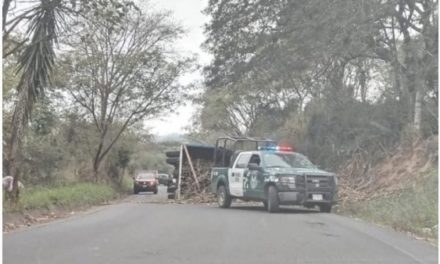 Vuelca camión cañero en la Xalapa-Alto Lucero; chofer resultó lesionado