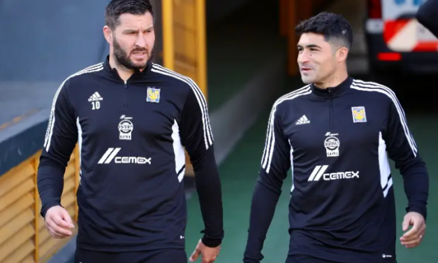 Nico Ibáñez no quiere ser el sucesor de Gignac en Tigres