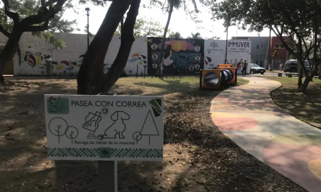 Primer parque para perros en Veracruz.