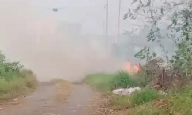 Bomberos de Veracruz atienden incendio en El Pando