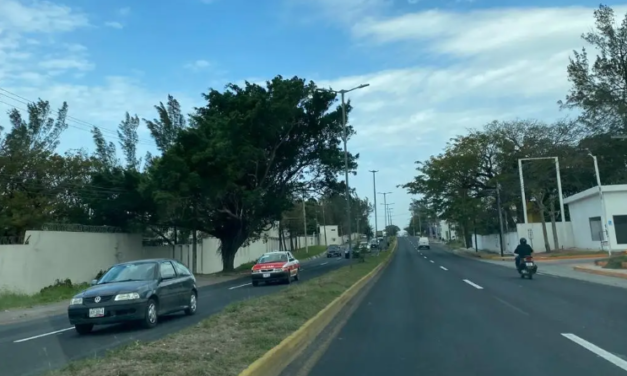 Liberan carretera federal tras caída de ramas