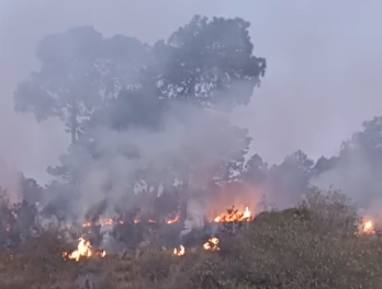 INCENDIO FORESTAL EN PREDIO DE PEROTE