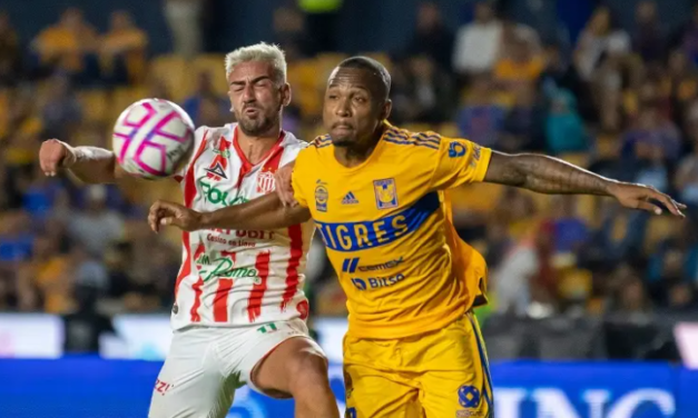 Jugador de Tigres compara la Liga MX con la Premier League y Serie A