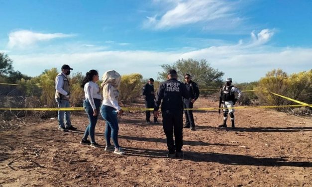 Grupo delictivo enterró 26 cuerpos en fosa