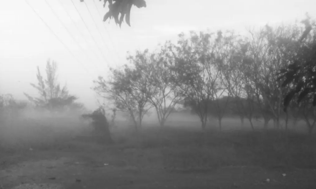 Niebla este viernes en Veracruz – Boca del Río