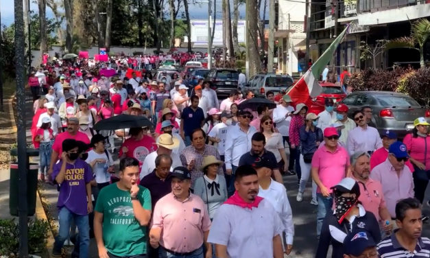 MARCHA A FAVOR DEL INE EN XALAPA (VIDEO)