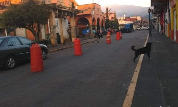 Desalojan a vendedores ambulantes en Coatepec