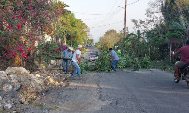 COMUNEROS LIMPIAN EL DERECHO DE VIA DE LA CARRETERA PLAN DE ARROYOS-TLAPACOYAN