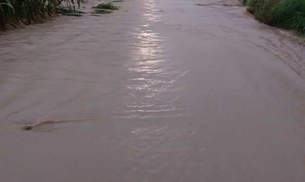 CERRADA LA CARRETERA MARTINEZ DE LA TORRE-MISANTLA