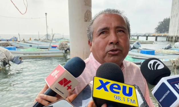 Reportan disminución de hasta 50% en la pesca en Veracruz