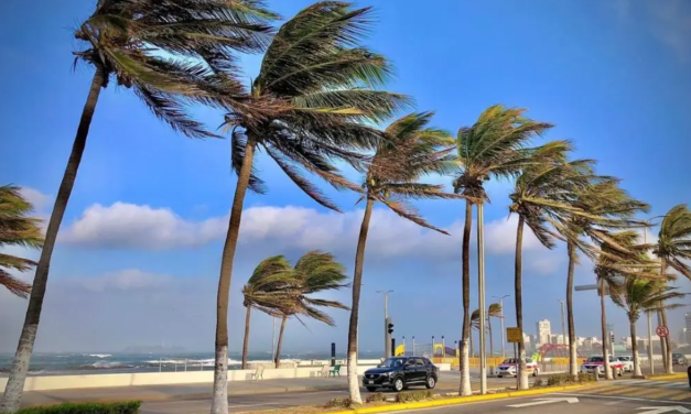 Sigue el norte para Veracruz – Boca del Río; estás serán las temperaturas