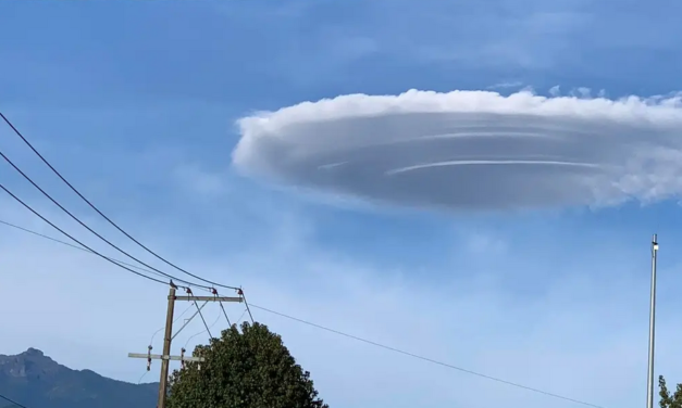 Por el Día del Meteorólogo, realizan concurso de cuento sobre las nubes en Veracruz