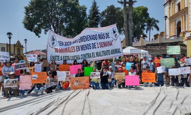 MANIFESTACIÓN CONTRA ANIMALES ENVENENADOS EN XICO