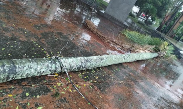 ¡ANTE TORMENTA, ACTIVÓ FORTÍN RÁPIDO PLAN DE RESPUESTA!