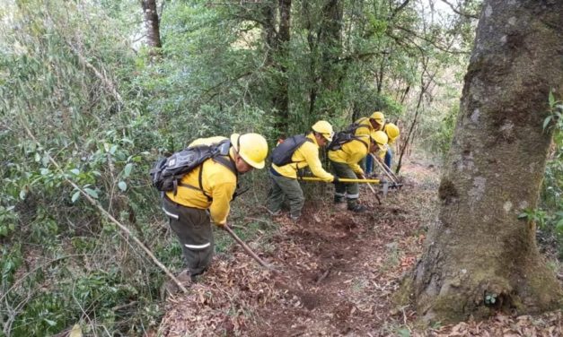 CONTINÚAN INCENDIOS FORESTALES EN LAS ALTAS MONTAÑAS