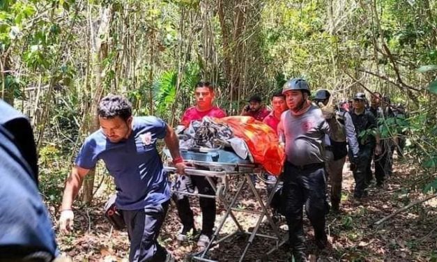 🐕‍🦺PERRO RESCATISTA AYUDA A ENCONTRAR A UNA NIÑA PERDIDA EN LA SELVA