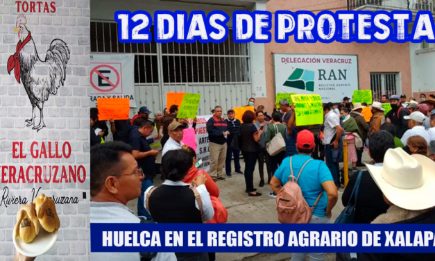 12 DÍAS DE HUELGA EN EL REGISTRO AGRARIO NACIONAL DELEGACIÓN XALAPA