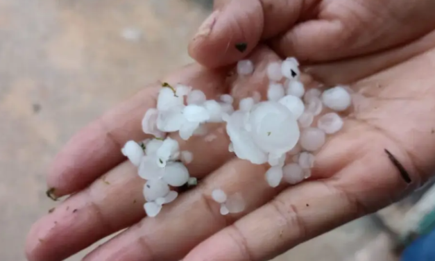 ¿Cuándo granizó en el puerto de Veracruz? Esto revelan meteorólogos