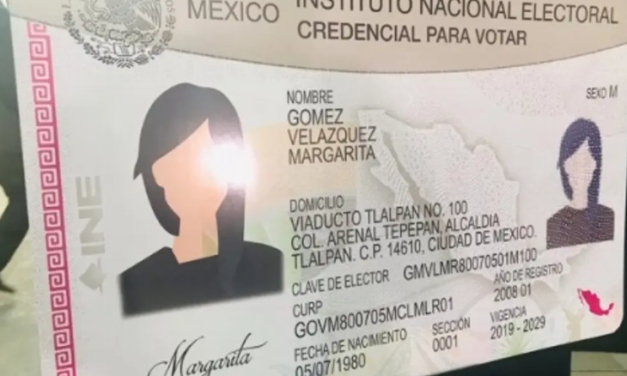 INE acude a domicilios para verificar que credenciales tengan residencia actualizada