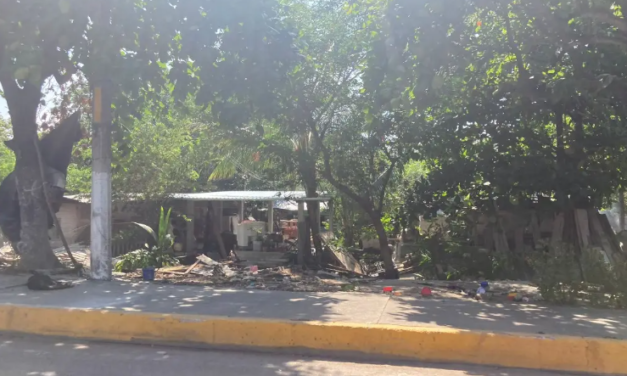 Desalojo de irregulares en laguna Olmeca en Veracruz fue a petición de vecinos: alcaldesa