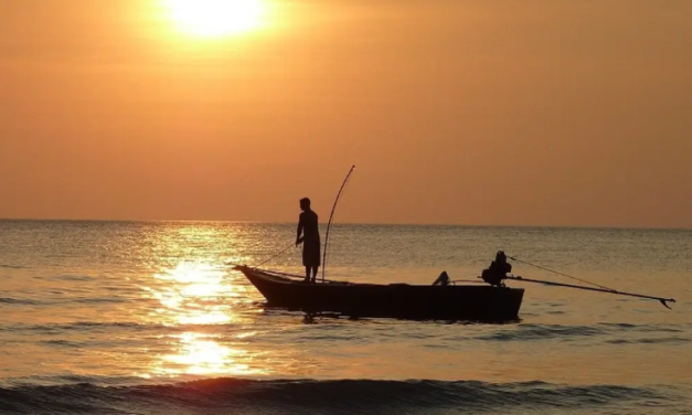 Hoy índice de calor de 36°C para Veracruz y Boca del Río