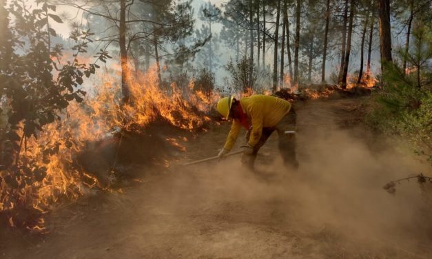 CONTINUAN LOS INCENDIOS FORESTALES EN VERACRUZ