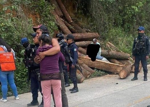 🚨MUERE TALADOR A MANOS DE LA NATURALEZA