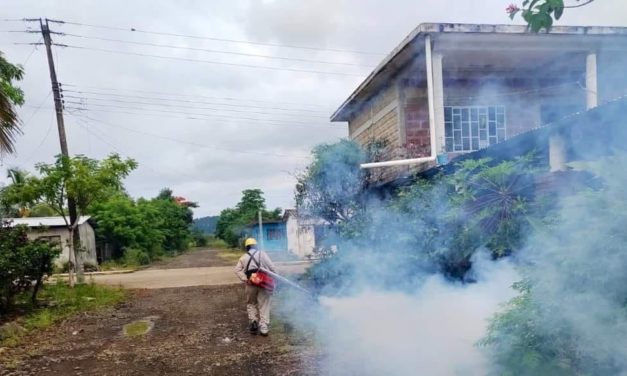 👉ATACAN PROLIFERACIÓN DEL MOSCO DEL DENGUE EN PAPANTLA