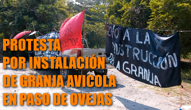 PROTESTA DE POBLADORES DE PASO DE OVEJAS POR LA INSTALACIÓN DE UN COMPLEJO DE GRANJAS AVÍCOLAS