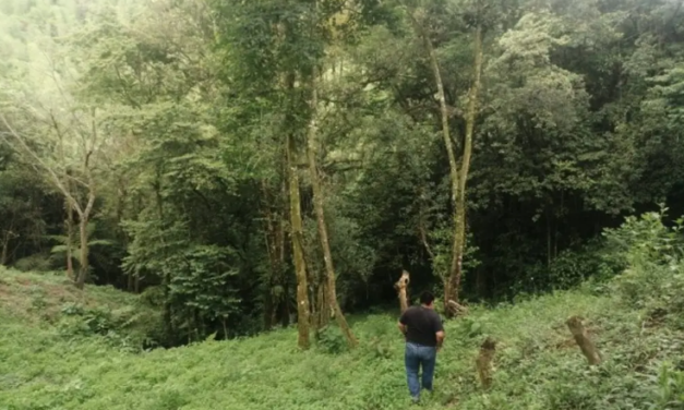 Localizan cráneo en predio de La Perla, Veracruz