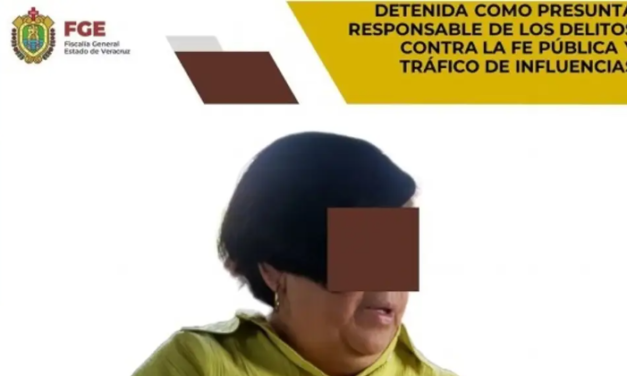 Dante da seguimiento a caso de detención de jueza de Cosamaloapan: Del Río Virgen