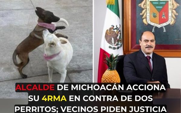 ALCALDE DE MICHOACAN ACCIONA SU ARMA EN CONTRA DE DOS PERRITOS; VECINOS PIDEN JUTICIA