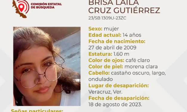 Ella es Brisa, tiene 14 años de edad y desapareció en el puerto de Veracruz