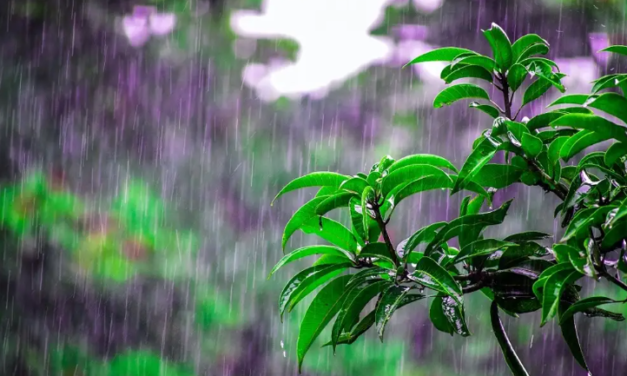 Seguirá el potencial de lluvias en Veracruz por una onda tropical, este es el pronóstico del tiempo