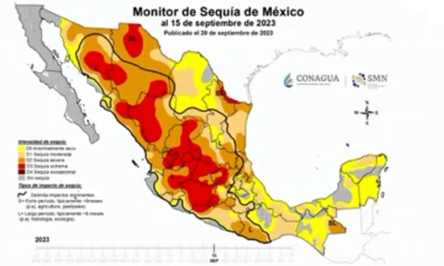 Más de la mitad de municipios de Veracruz registra sequía: Conagua