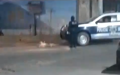 PATRULLA DE LA POLICIA MUNICIPAL DE OCOTLAN MATA A LOMITO (VIDEO)