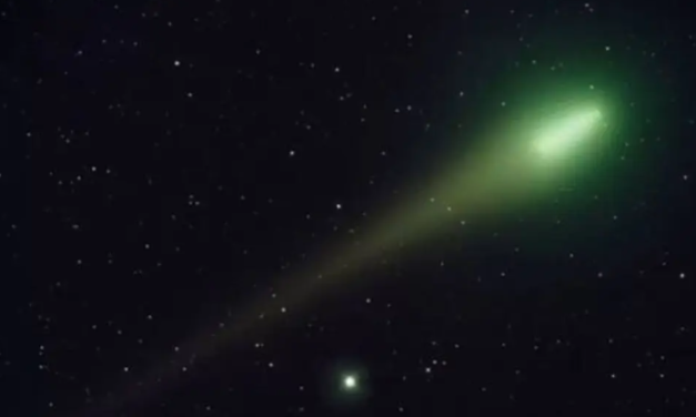 Cometa recién descubierto «Nishimura» será visible en Veracruz ¿Cuándo?