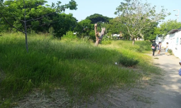 Reportan que zona del parque El Hoyo en el Coyol es una «boca del lobos»