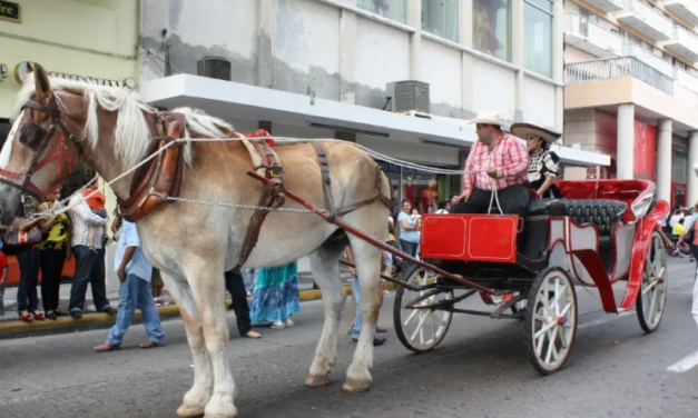 Anuncian en Veracruz Mega Cabalgata de Alvarado