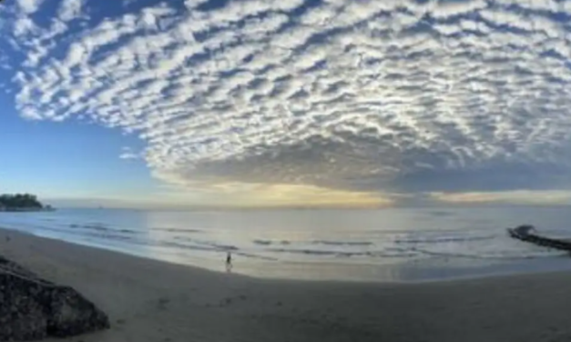 Hermoso cielo aborregado en Veracruz