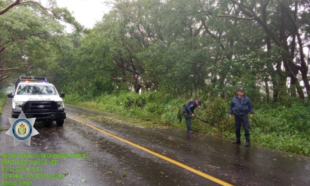 El viento llegó con fuerza a Santiago Tuxtla derribando árboles y postes de luz.