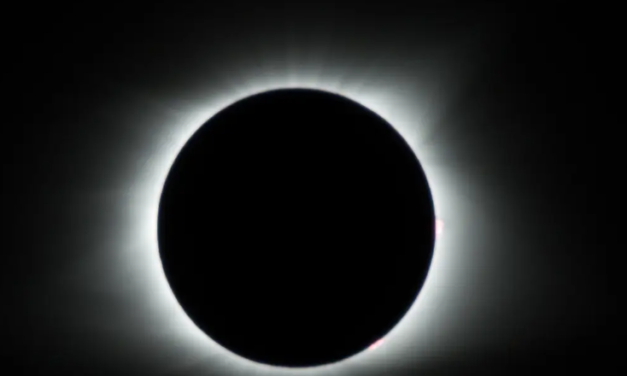 Habrá 4 eclipses en este 2024; uno será total de Sol, tres se verán en Veracruz