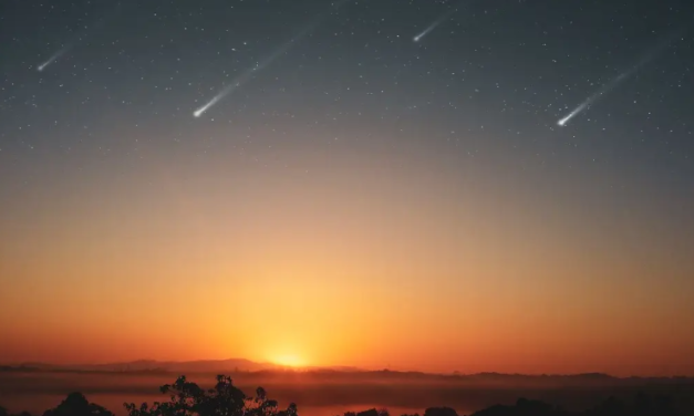 Esta es la primera lluvia de estrellas de enero