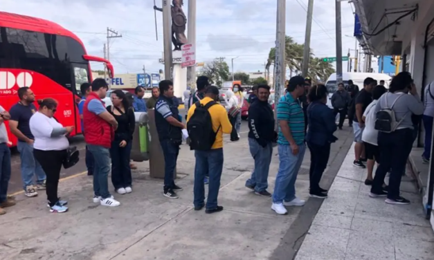 Llegan a las 8:00 de la mañana y se van a las 4:00 de la tarde tramitando la licencia en Veracruz