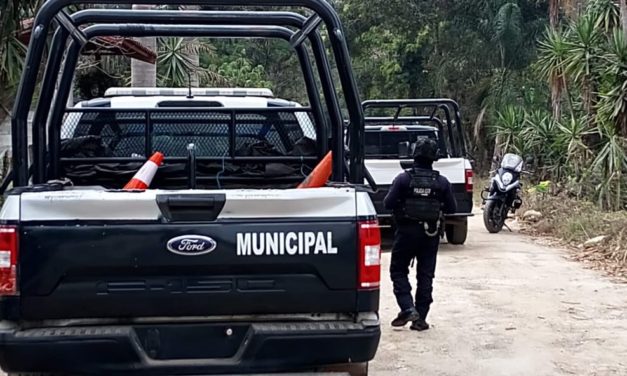 DURANTE EL MIÉRCOLES DE TIANGUIS SE ROBAN UNA CAMIONETA EN FORTÍN DE LAS FLORES