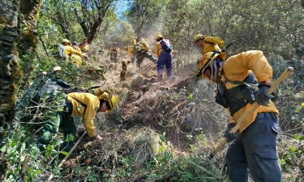 DE MANERA COORDINADA SE ATIENDEN INCENDIOS FORESTALES EN VERACRUZ